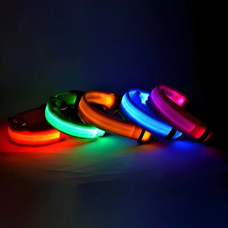 LED Dog Collar