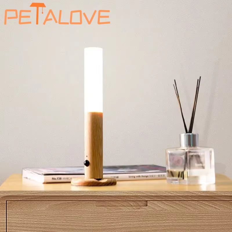 Magnetic Detachable Wireless Light