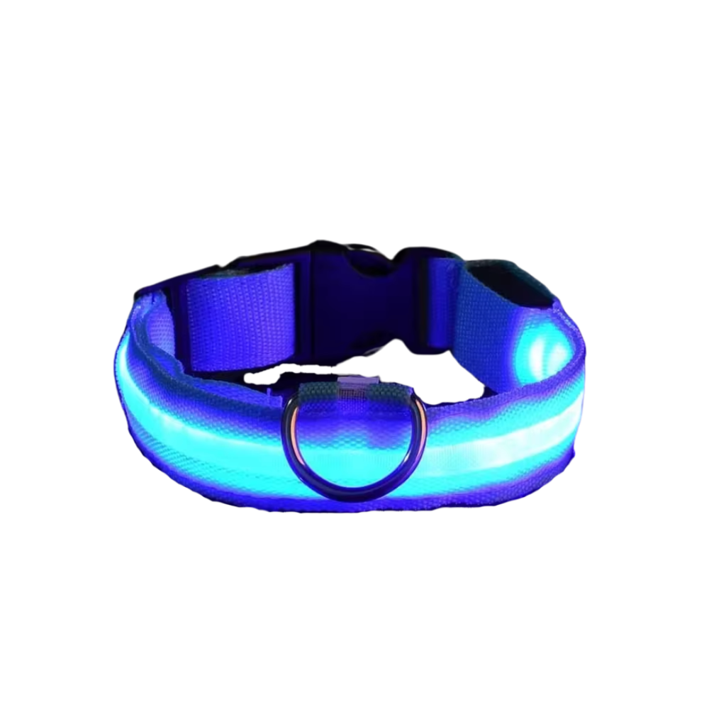 LED Dog Collar