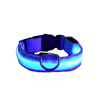 LED Dog Collar