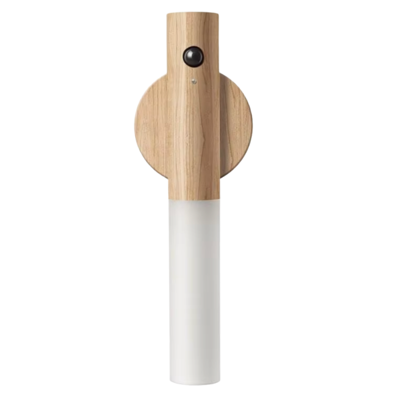 Magnetic Detachable Wireless Light
