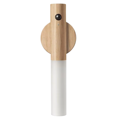Magnetic Detachable Wireless Light