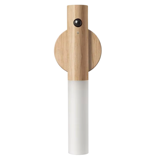 Magnetic Detachable Wireless Light