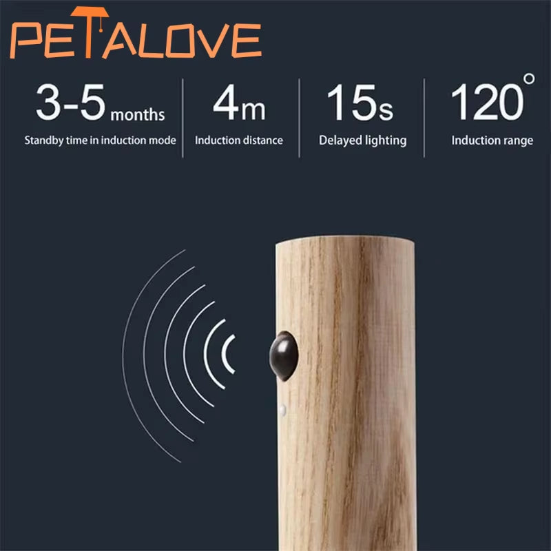 Magnetic Detachable Wireless Light